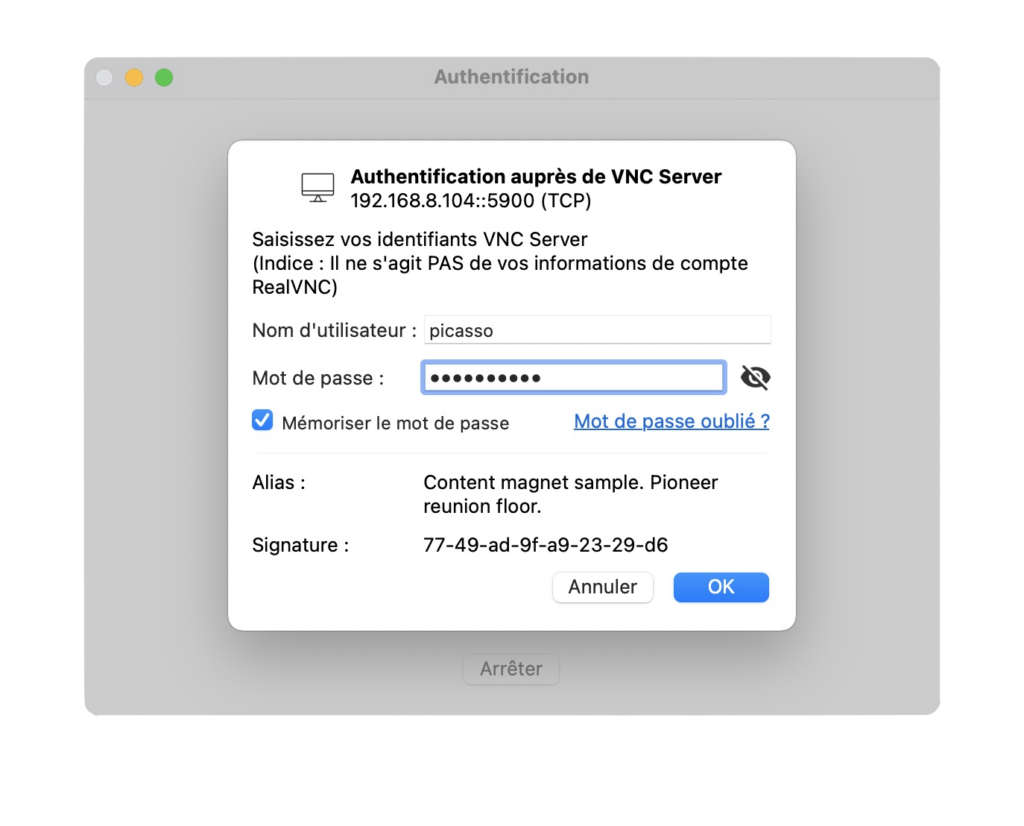 vnc connect