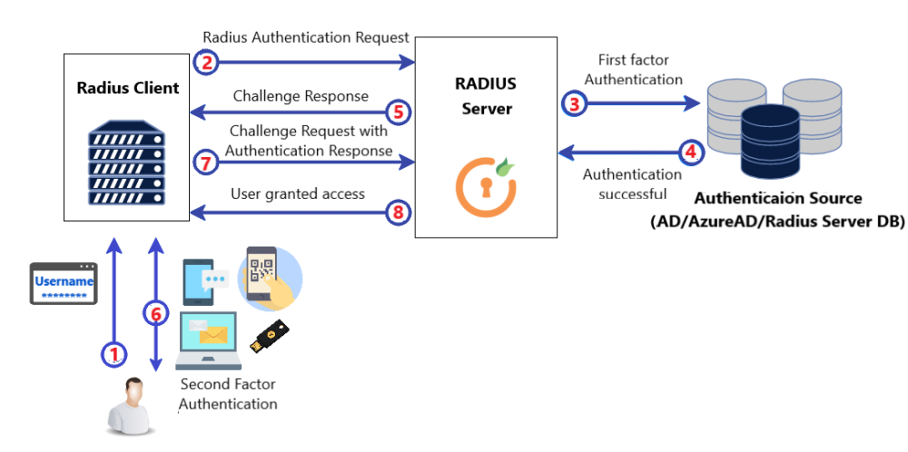 radius